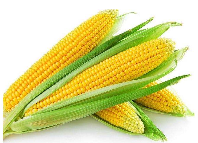 如何通过饮食来提高记忆力