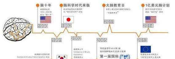 全脑开发训练的核心