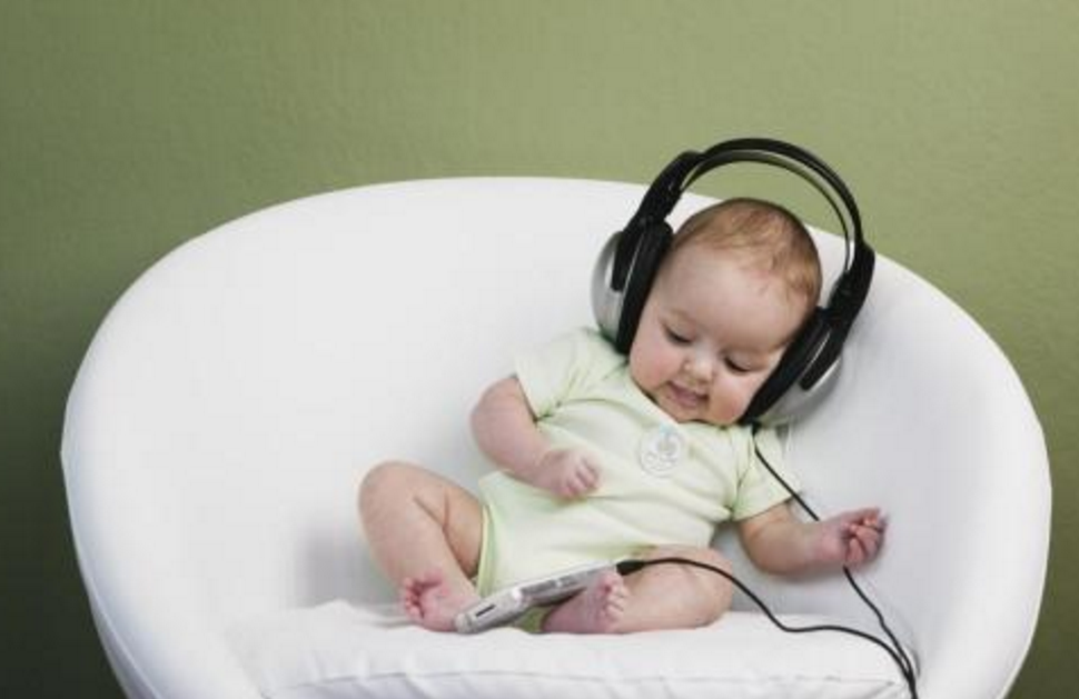 全脑开发是一种伪科学