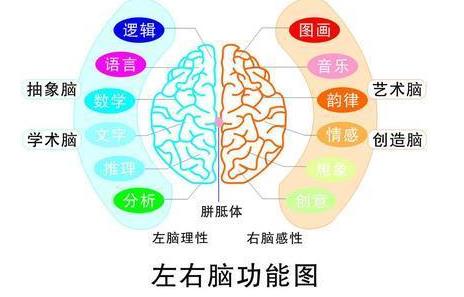 为什么要进行记忆力训练