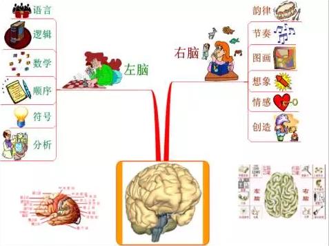 记忆力的三个阶段