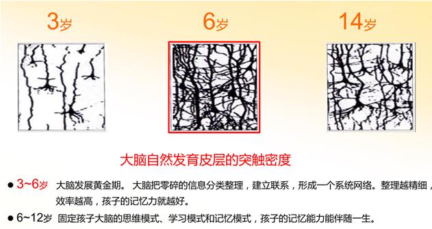 记忆大师学龄前全脑开发课程指导