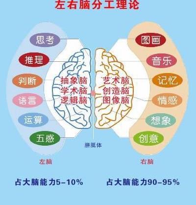 全脑开发的意义和培养效果