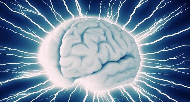 世界各国的脑科学计划