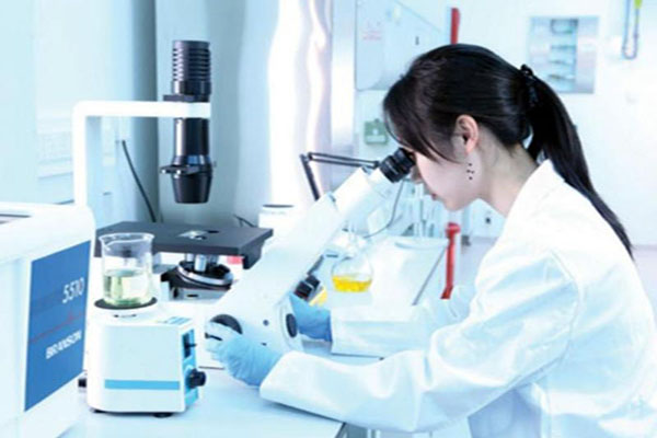 记忆力训练中的孩子的记忆规律