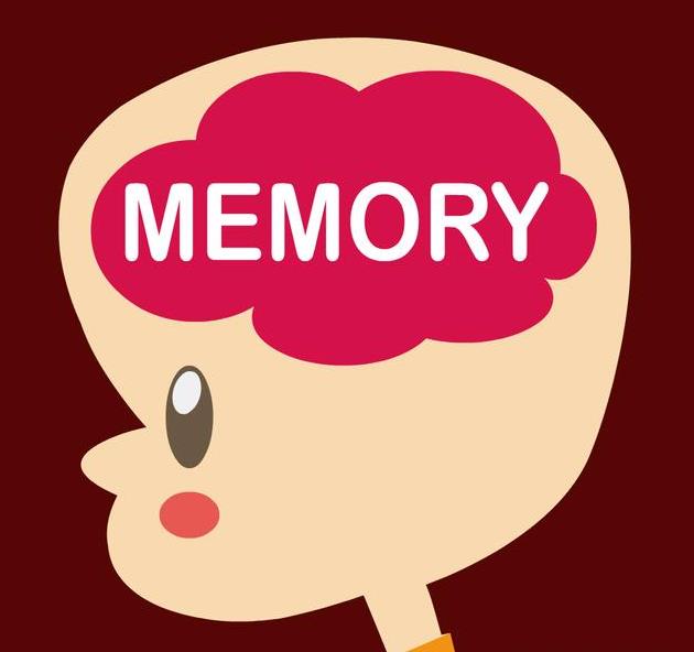 全脑教育是否是科学的教育方法