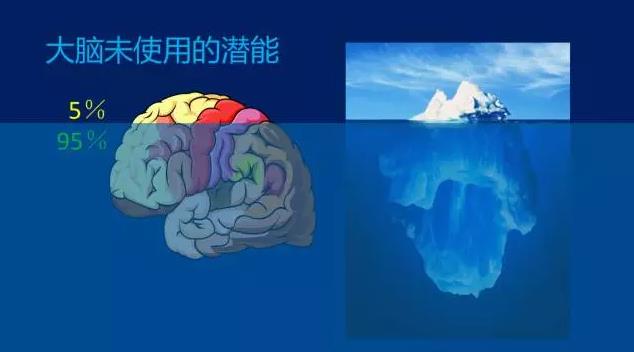 全脑开发训练是怎么样的