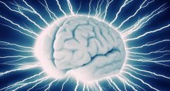 记忆大师：右脑开发中左脑和右脑的区分是什么