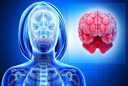 什么样的孩子适合全脑开发